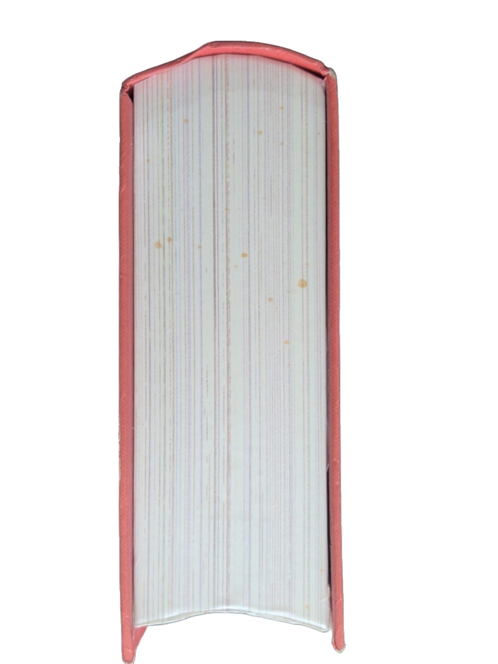 What A Novel Idea "Falling For Reading" 500 Piece Puzzle | Vintage Book Box - Picture 2 of 7